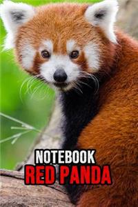 Red Panda Notebook