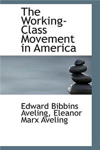 The Working-Class Movement in America