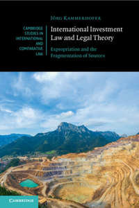 International Investment Law and Legal Theory