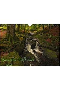 Queen of the Wild Creeks 2018