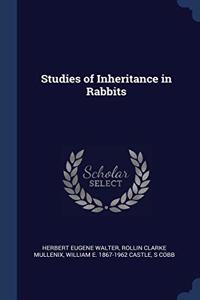 STUDIES OF INHERITANCE IN RABBITS