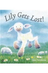Lily Gets Lost