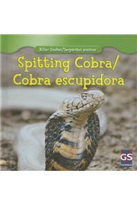 Spitting Cobra/Cobra Escupidora