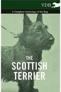 The Scottish Terrier - A Complete Anthology of the Dog