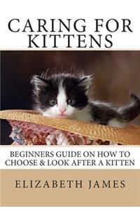 Caring for Kittens