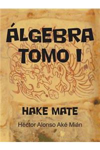 Algebra Tomo I