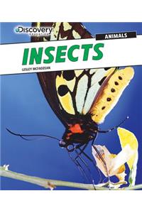 Insects