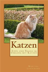 Katzen