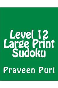 Level 12 Large Print Sudoku