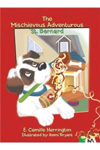 The Mischievous Adventurous St. Bernard