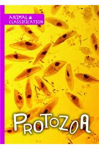 Protozoa