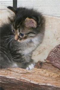 Grey Kitty Journal