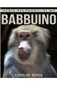 Babbuino