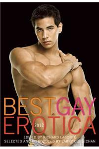 Best Gay Erotica 2012
