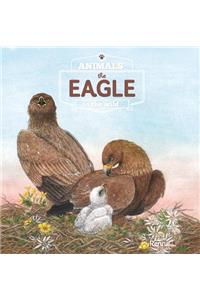 Eagle. Animals in the Wild