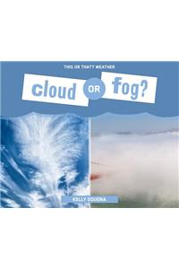 Cloud or Fog?