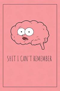 Shit I Can't Remember