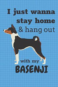 I just wanna stay home & hang out with my Basenji