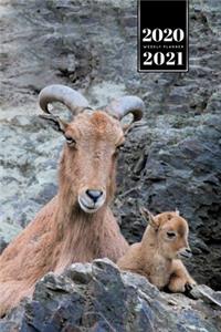 Goat Farmer Farming Herder Goatherd Week Planner Weekly Organizer Calendar 2020 / 2021 - Father and Kid