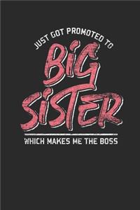 Just Got Promoted To Big Sister