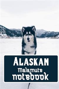 Alaskan Malamute notebook
