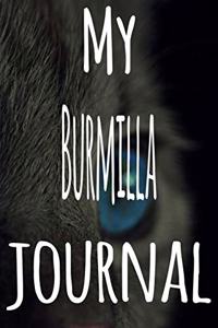 My Burmilla Journal
