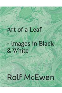 Art of a Leaf - Images in Black & White