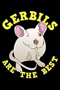 Gerbils Are The Best
