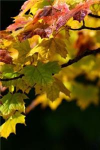 Maple Leaves Notebook