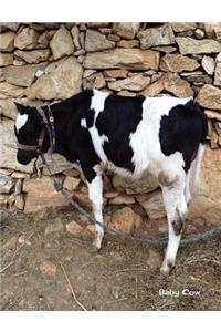 Baby Cow
