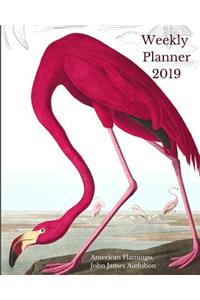 Weekly Planner 2019