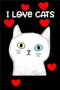 I Love Cats