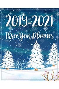 2019-2021 Three Year Planner