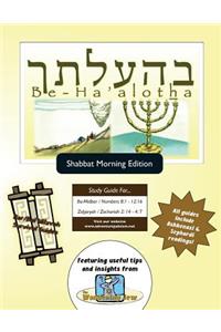 Bar/Bat Mitzvah Survival Guides