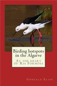 Birding Hotspots in the Algarve