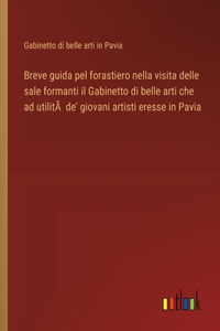 Breve guida pel forastiero nella visita delle sale formanti il Gabinetto di belle arti che ad utilitÃ de' giovani artisti eresse in Pavia