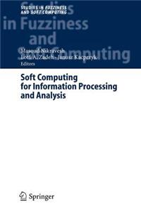 Soft Computing for Information Processing and Analysis