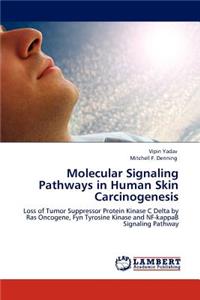 Molecular Signaling Pathways in Human Skin Carcinogenesis
