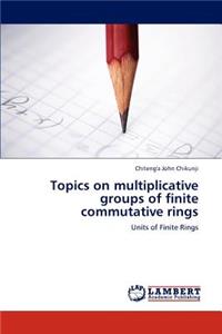 Topics on multiplicative groups of finite commutative rings