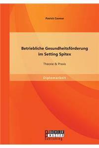 Betriebliche Gesundheitsförderung im Setting Spitex