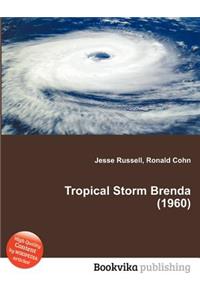 Tropical Storm Brenda (1960)