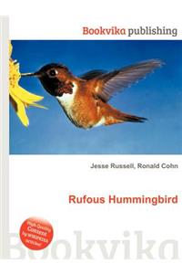 Rufous Hummingbird