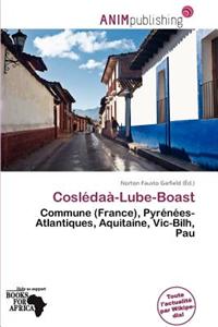 Cosl Da -Lube-Boast