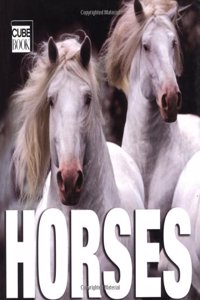 Horses (Supercubes)