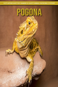 Pogona - Fatti interessanti per i bambini su questi animali incredibili e potenti