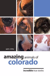 Amazing Animals of Colorado
