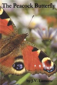 The Peacock Butterfly