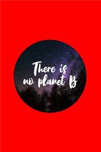 There is no planet b