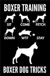 Boxer Training - Boxer Dog Tricks