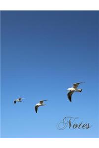 Notes: Large Notebook with Seagull Cover for Writing Notes